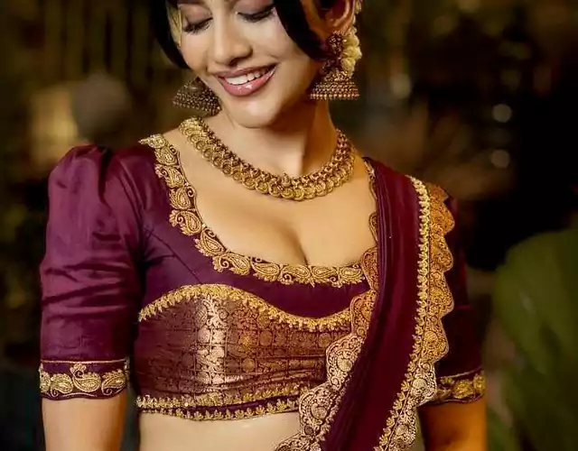 Nabha Natesh Ugadi Photos